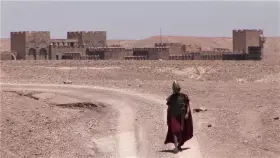 The Iranian Film