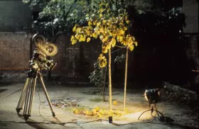 Filmkamera vor Quittenbaum: El sol del membrillo