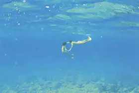 STILL THE WATER