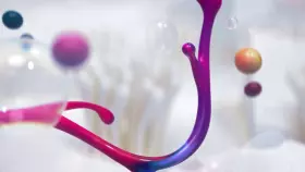 37. Filmfest M�nchen 2019