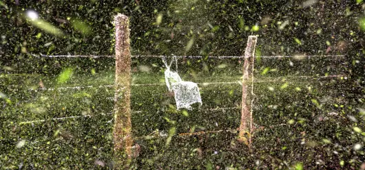 All My Scars Vanish in the Wind