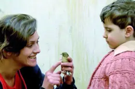 U�URTMAYI VURMASINLAR - LASST DEN DRACHEN FLIEGEN