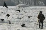 Watching People Watching Birds