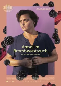 Filmplakat Amsel im Brombeerstrauch