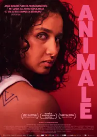 Filmplakat �Animale�