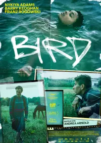 Filmplakat �Bird�