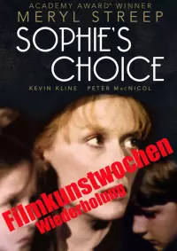 Filmplakat Sophies Entscheidung