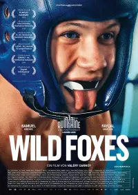Plakat Wild Foxes