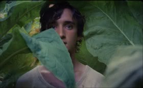 Glcklich wie Lazzaro (Alice Rohrwacher)