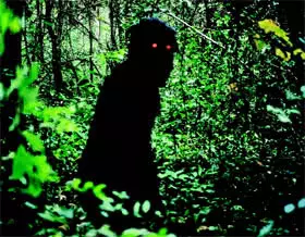 Uncle Boonmee Who Can Recall His Past Lives
