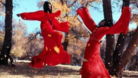 Martial Arts Choreographi in Rot aus �Hero�