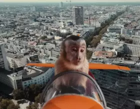 Akiko, der fliegende Affe
