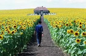 Filmszene �Alles ist erleuchtet�