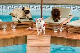 Filmszene �Beverly Hills Chihuahua�