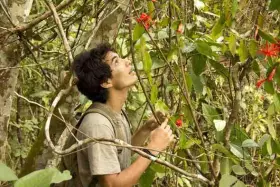 Filmszene �A Floresta de Jonathas - Im dunklen Gr�n�