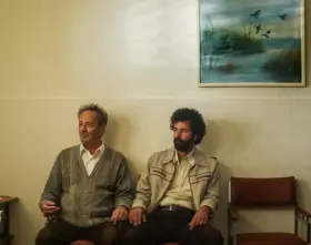 Im Schatten des Orangenbaums