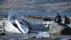 Filmszene �Leviathan�