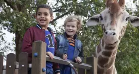Filmszene �Mein Freund, die Giraffe�