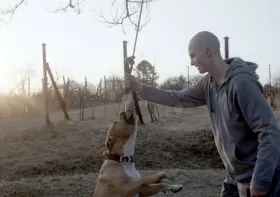 Filmszene �My Dog Killer�
