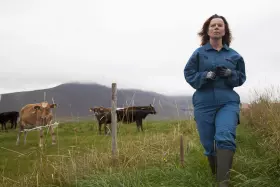 Filmszene �Milchkrieg in Dalsmynni�