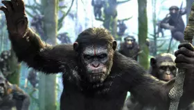 Filmszene �Planet der Affen - Revolution�