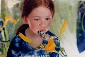Filmszene �Der Schmetterling�
