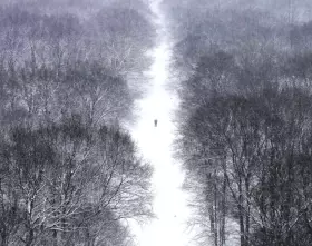 Filmszene Siberia