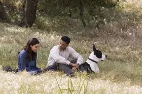 Filmszene �Sieben Leben�