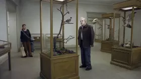 Filmszene �Eine Taube sitzt auf einem Zweig und denkt �ber das Leben nach�