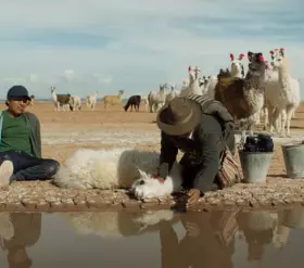 Filmszene »Utama. Ein Leben in Würde«