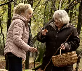 Wenn der Herbst naht