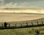 Mein Weg